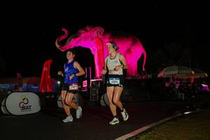 BIB: 
                            <button type="button" onclick="openModal(26543682)" class="btn btn-primary btn-sm float-right btn-popup" data-toggle="modal" data-target=".modal-high-quality">
                        <i class="fas fa-shopping-cart"></i> Add to Cart
                    </button>
                                            <button type="button" onclick="isThisMe(26543682, true)" class="btn btn-success btn-sm float-right btn-popup btn-isme hidden" data-toggle="tooltip" data-placement="bottom" title="นี่คือรูปของคุณใช่ไหม คลิกที่นี่เพื่อเอาเข้าอัลบั้ม">
                        <i class="fas fa-plus"></i> Add to album
                    </button>
                    <button type="button" onclick="isThisMe(26543682, false)" class="btn btn-warning btn-sm float-right btn-popup btn-isnotme hidden">
                        <i class="fas fa-ban"></i> Remove from album
                    </button>